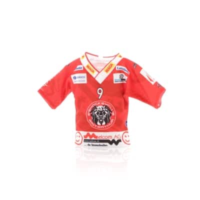Minitrikot Home (inkl. Name u. Nummer)